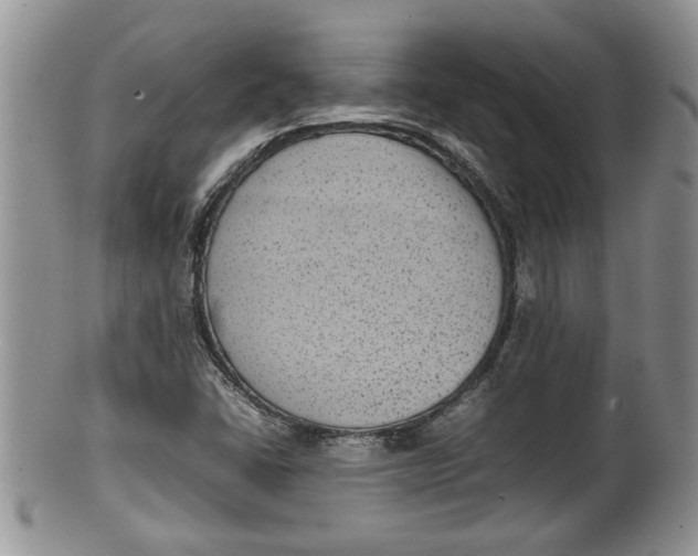 X0000100191406200806201347