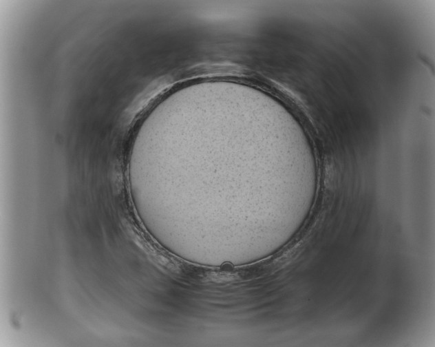 X0000100191407200806201347
