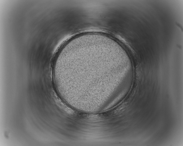 X0000100191408200806201347