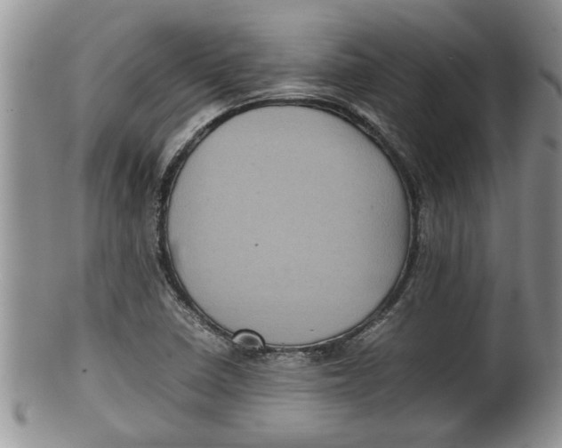 X0000100191410200806201347
