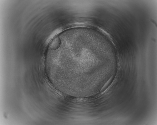 X0000100191411200806201347