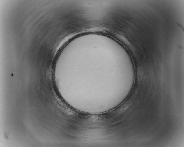X0000100191412200806201347