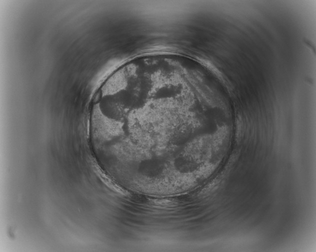 X0000100191413200806201347