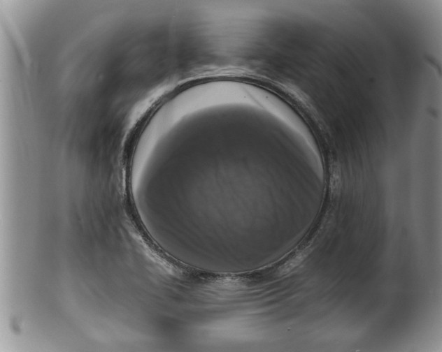 X0000100191414200806201347