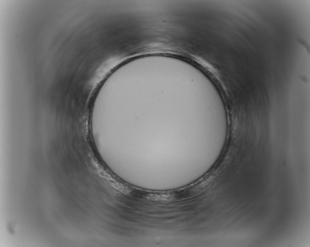 X0000100191415200806201347