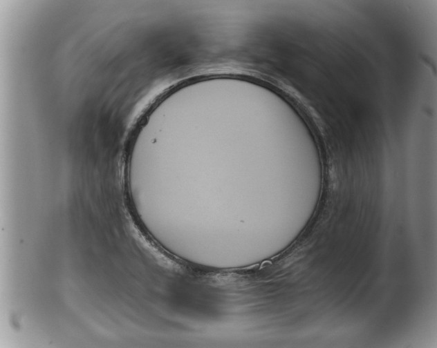 X0000100191416200806201347