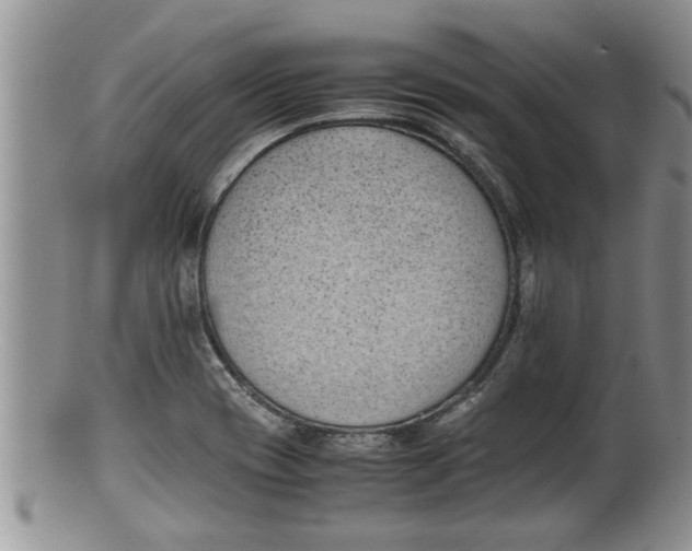 X0000100191417200806201347