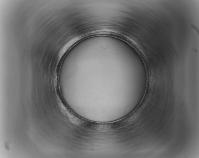 X0000100191418200806201347