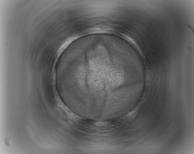 X0000100191419200806201347