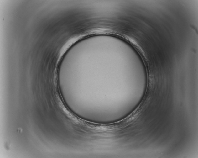 X0000100191421200806201347