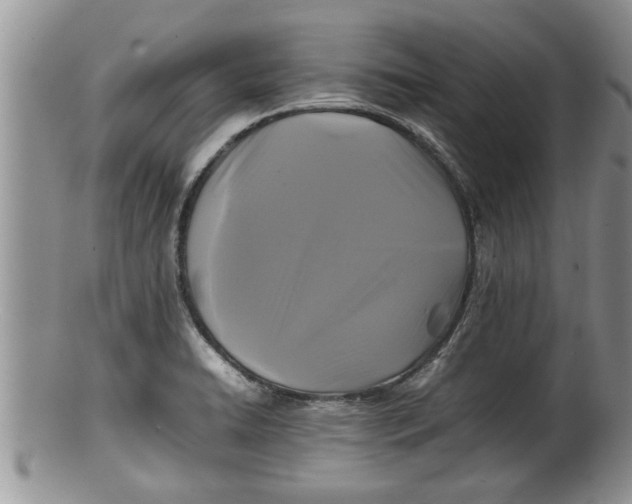 X0000100191422200806201347