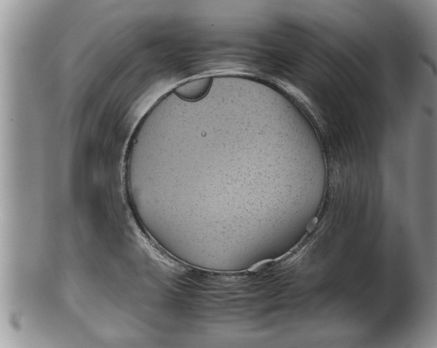 X0000100191423200806201347
