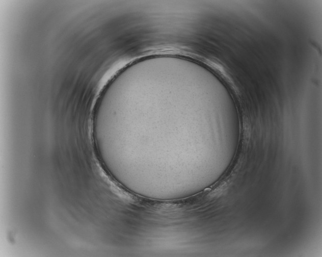 X0000100191424200806201347