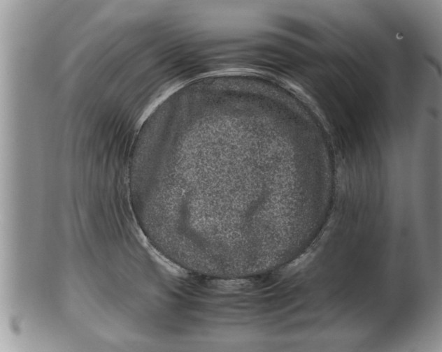 X0000100191425200806201347
