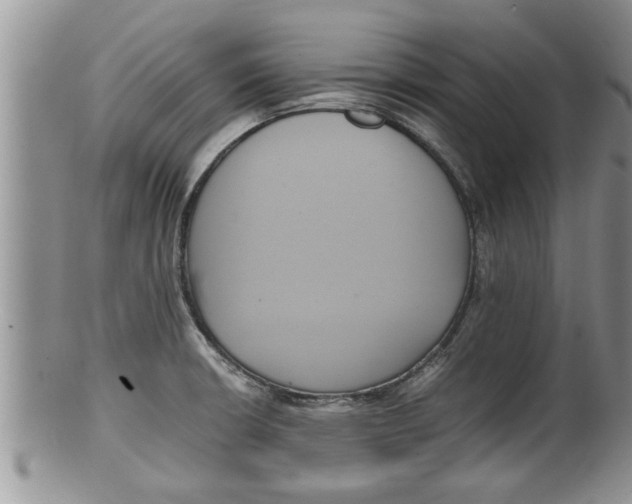 X0000100191426200806201347