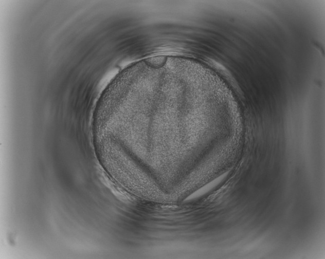 X0000100191427200806201347