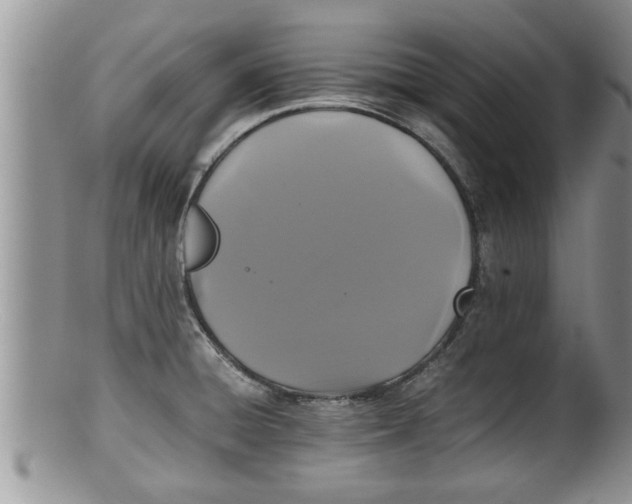 X0000100191428200806201347