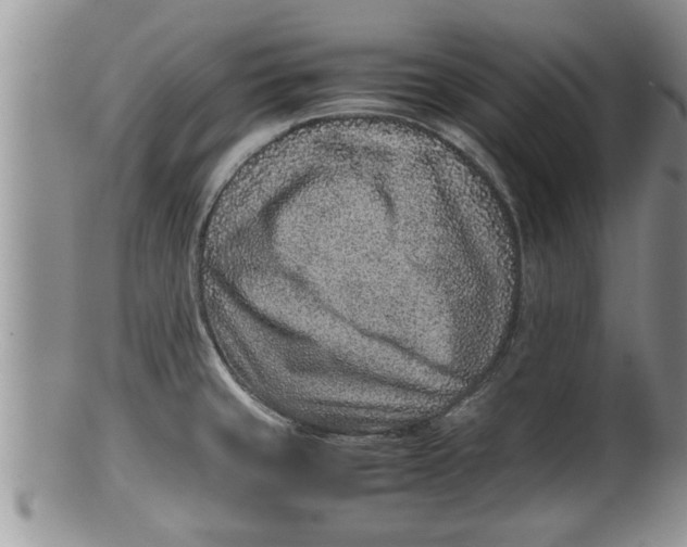 X0000100191429200806201347