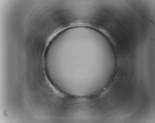 X0000100191430200806201347