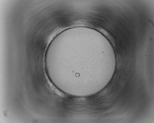 X0000100191431200806201347