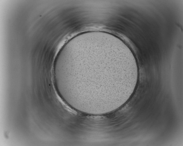 X0000100191432200806201347