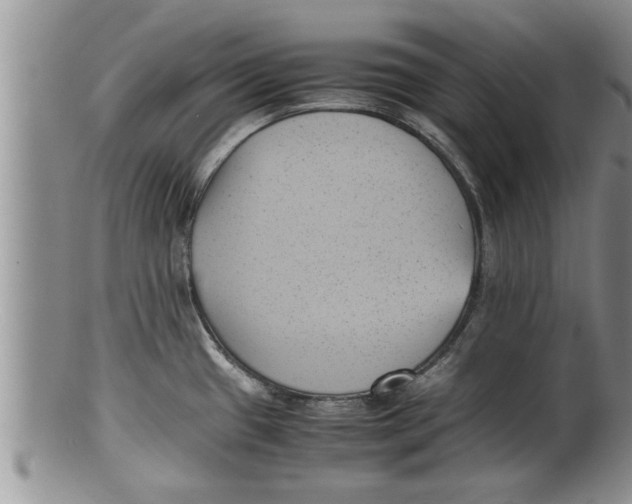 X0000100191433200806201347