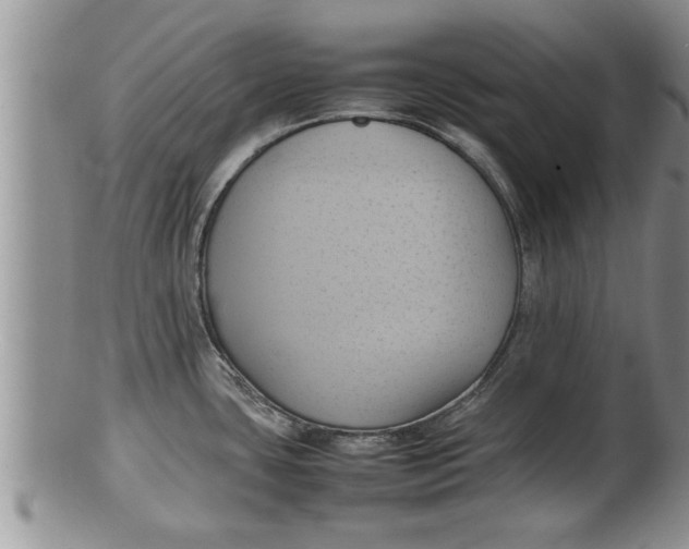 X0000100191435200806201347