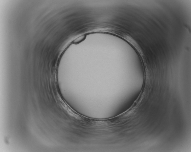 X0000100191436200806201347