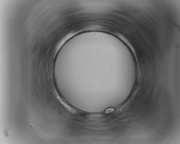 X0000100191437200806201347