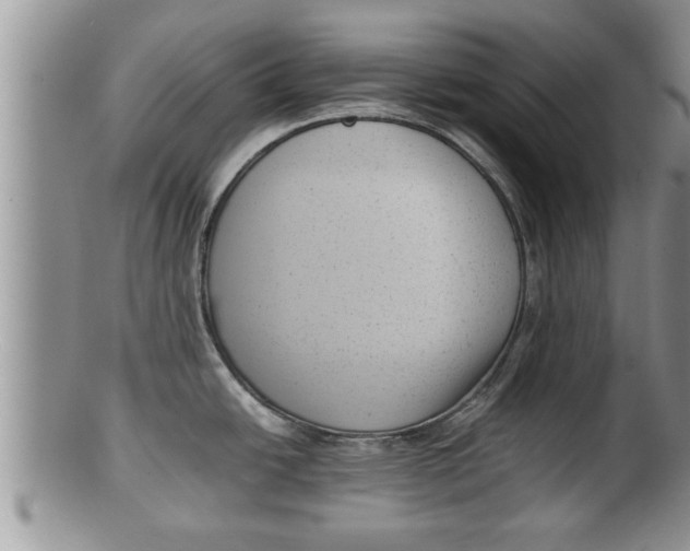 X0000100191438200806201347