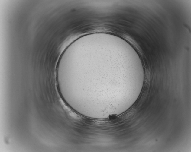 X0000100191439200806201347
