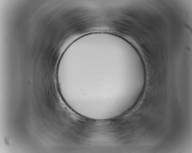 X0000100191440200806201347
