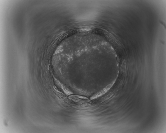 X0000100191441200806201347