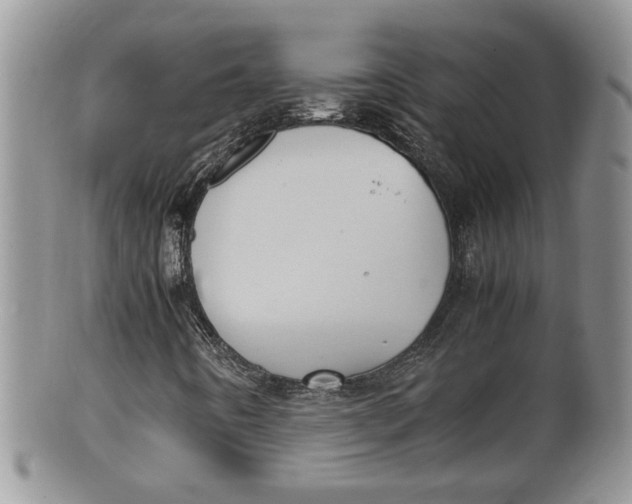 X0000100191442200806201347