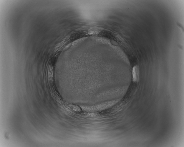 X0000100191443200806201347