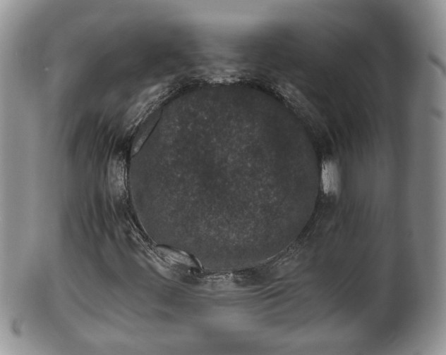 X0000100191444200806201347