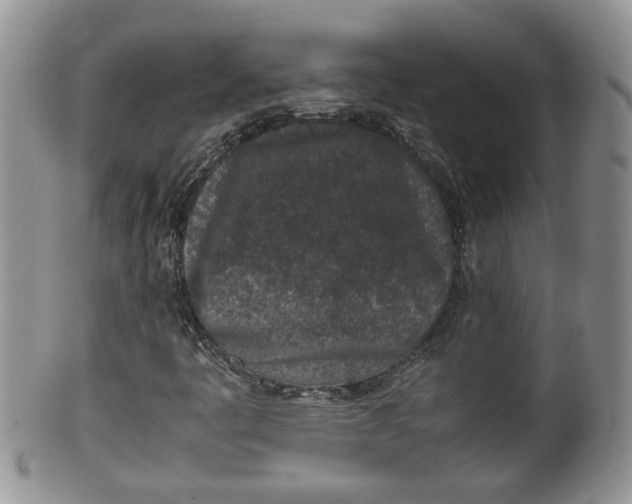 X0000100191445200806201347