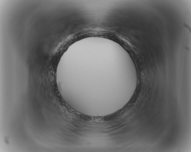 X0000100191447200806201347