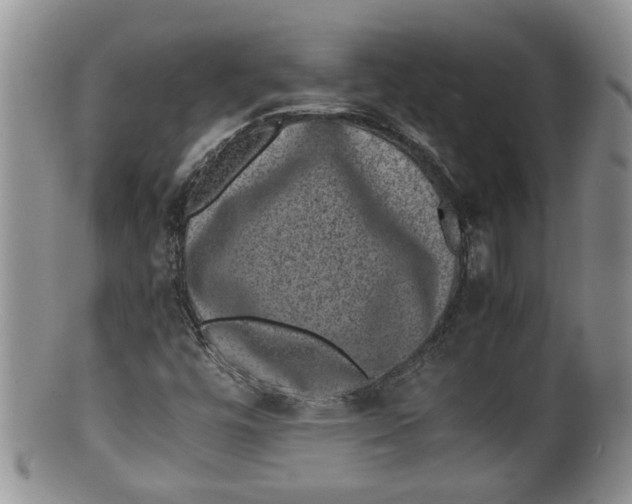 X0000100191448200806201347