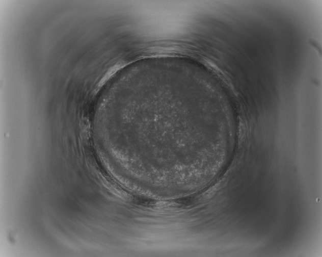 X0000100191449200806201347