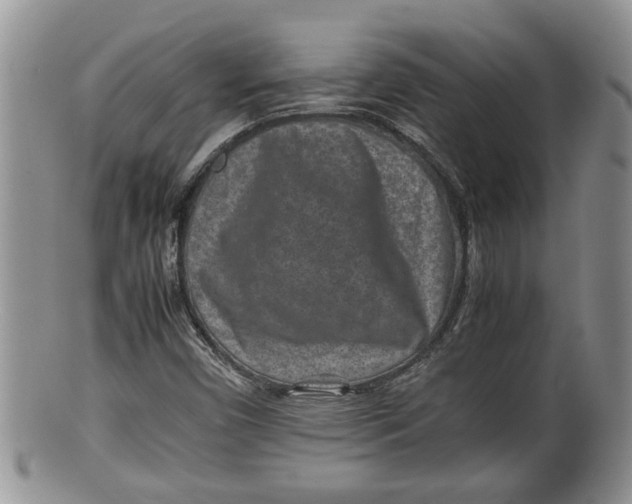 X0000100191450200806201347