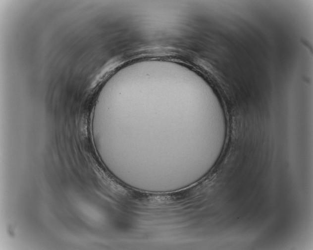 X0000100191451200806201347