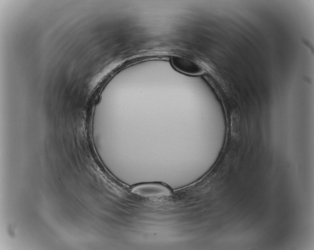 X0000100191452200806201347