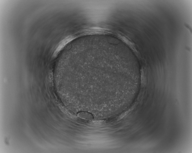 X0000100191453200806201347