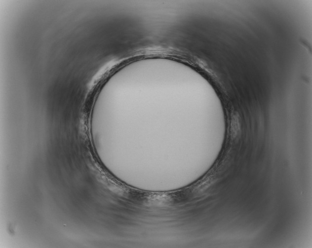 X0000100191454200806201347