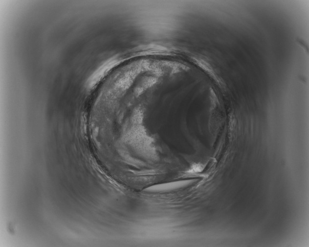 X0000100191455200806201346