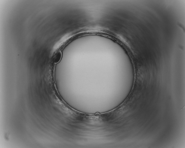 X0000100191456200806201346