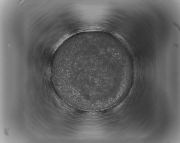 X0000100191457200806201346