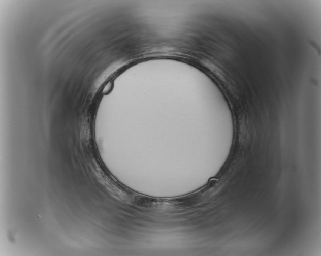 X0000100191458200806201346