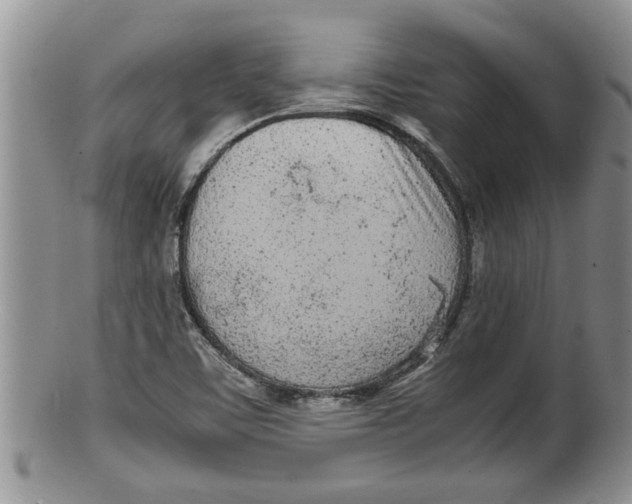 X0000100191459200806201346